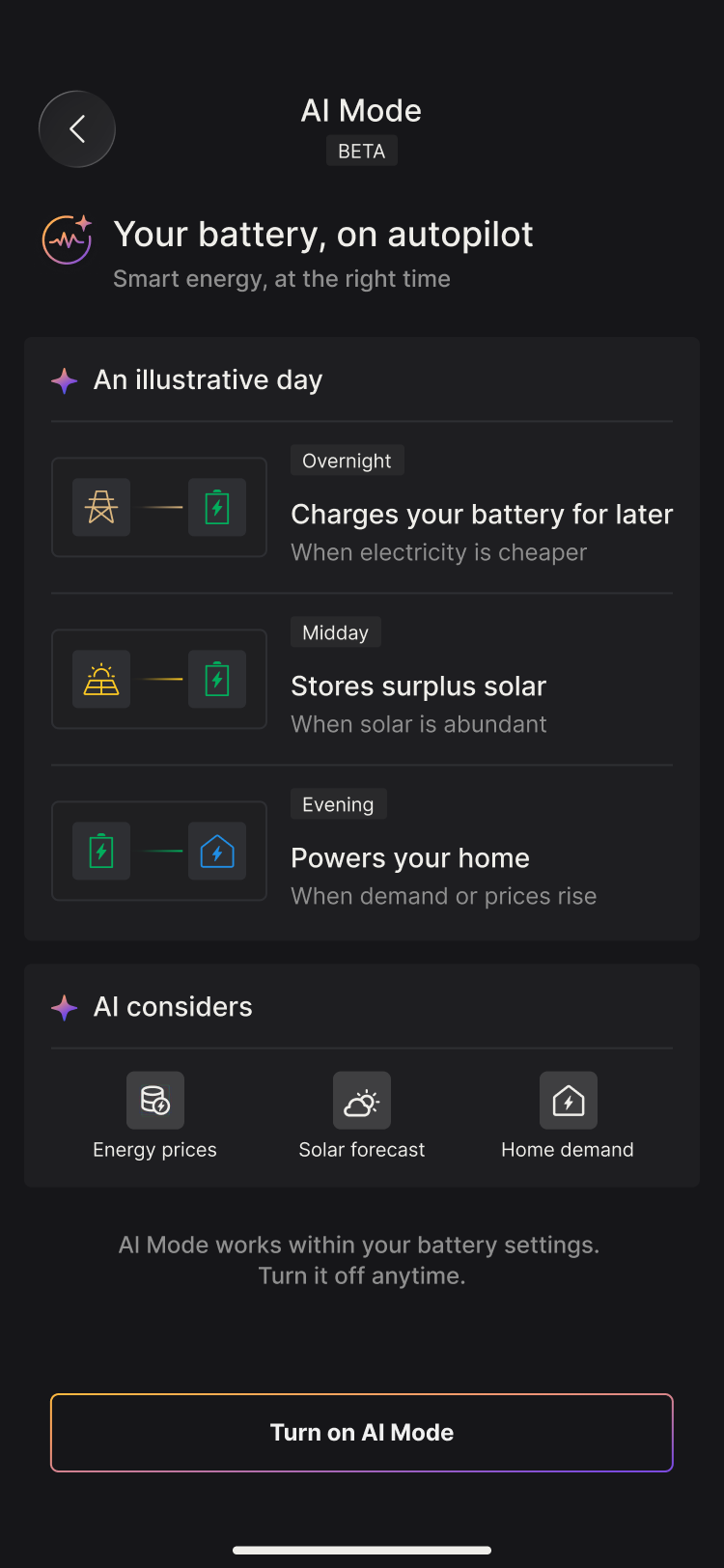 AI Mode overview with an illustrative day